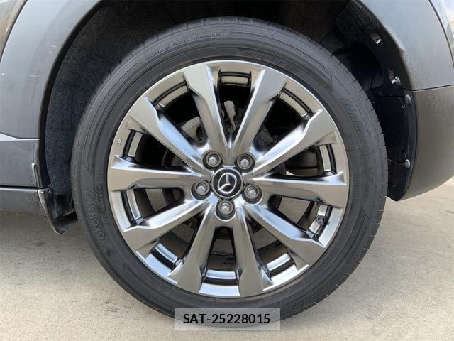 Mazda CX-3 2019-01 8648127-18