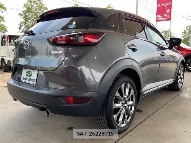 Mazda CX-3 2019-01 8648127-6