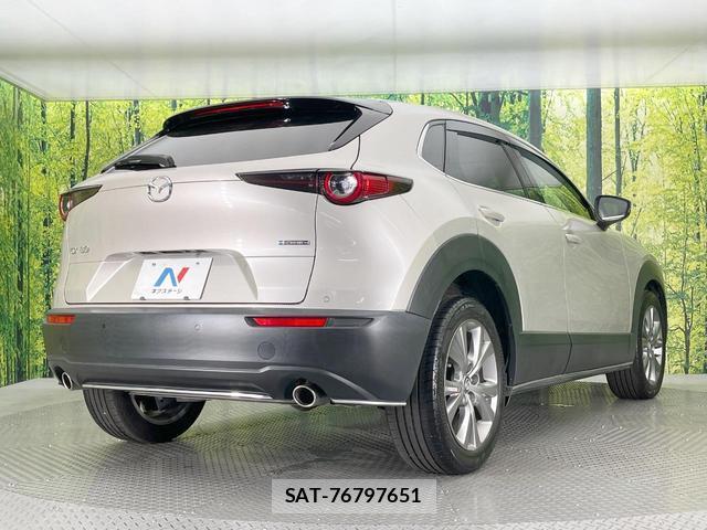 Mazda CX-30 2022-11 8648774-16