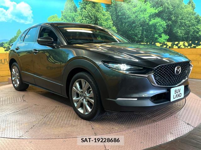 Mazda CX-30 2023-08 8649220-15