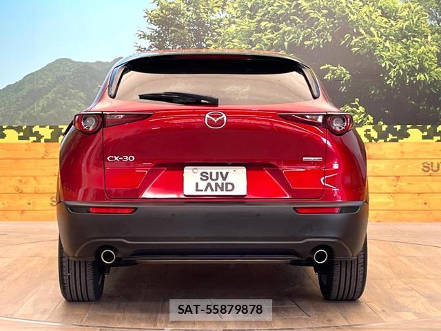 Mazda CX-30 2019-12 8649325-14