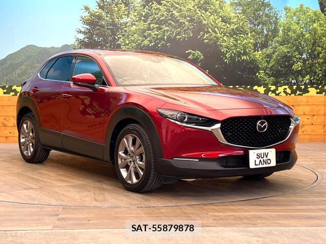 Mazda CX-30 2019-12 8649325-15