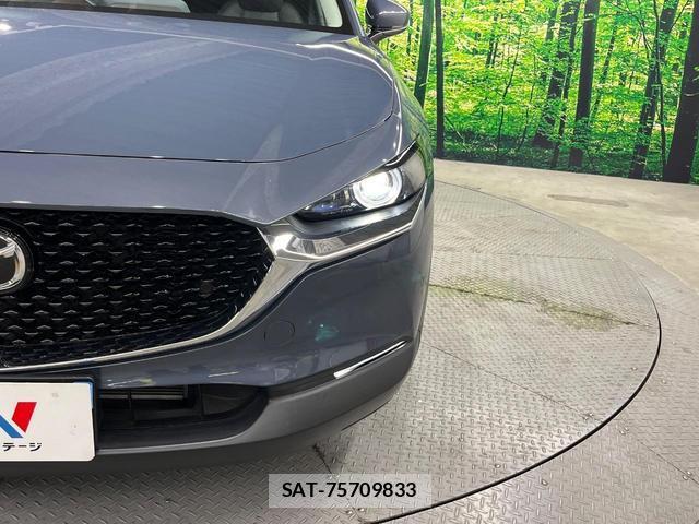 Mazda CX-30 2021-09 8649359-11