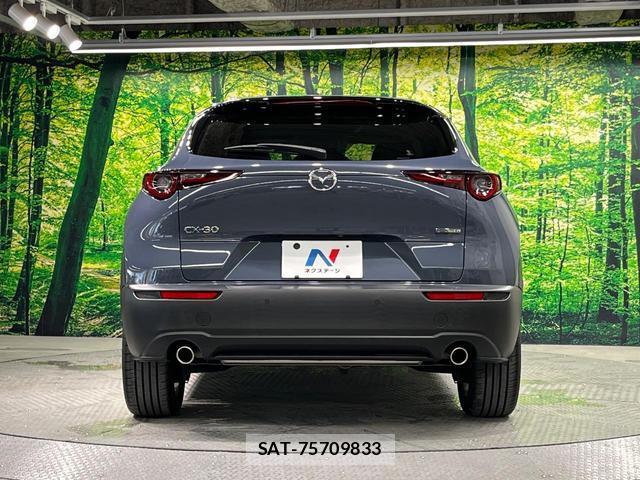 Mazda CX-30 2021-09 8649359-14
