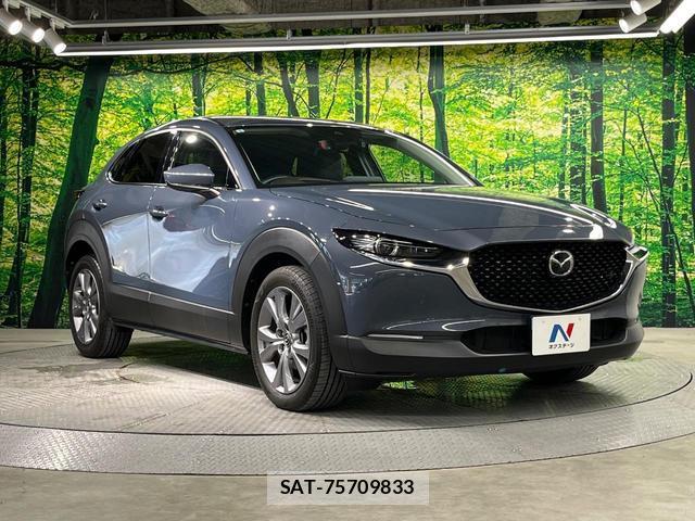 Mazda CX-30 2021-09 8649359-15