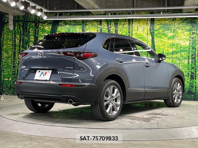 Mazda CX-30 2021-09 8649359-16