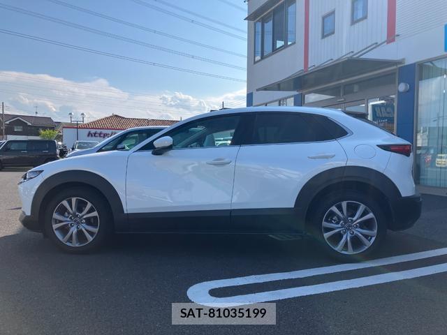 Mazda CX-30 2020-12 8650865-10
