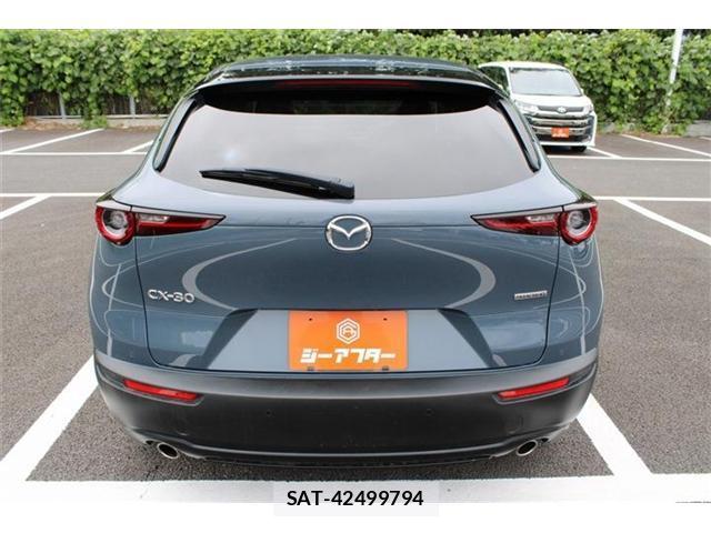 Mazda CX-30 2021-09 8651896-10