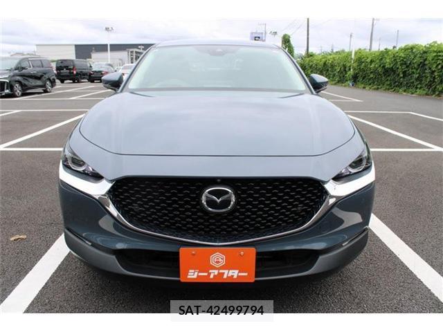 Mazda CX-30 2021-09 8651896-6