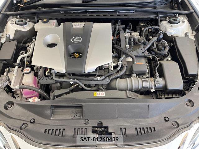 Lexus ES 2020-02 8653287-19