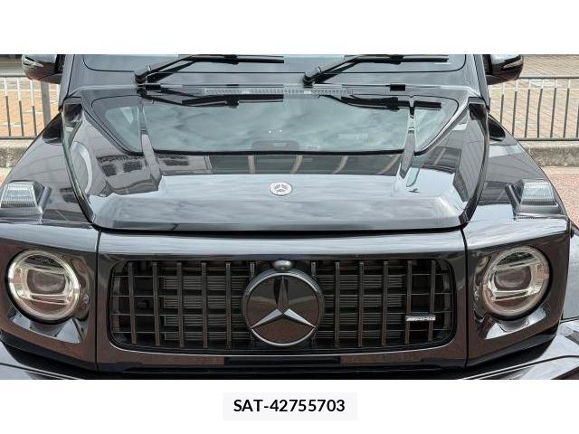 Mercedes Benz G-CLASS 2022 8649676-19