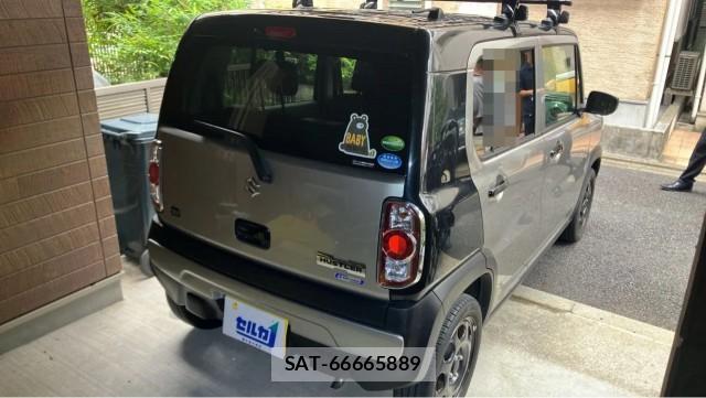 Suzuki HUSTLER 2019-11 8651318-13