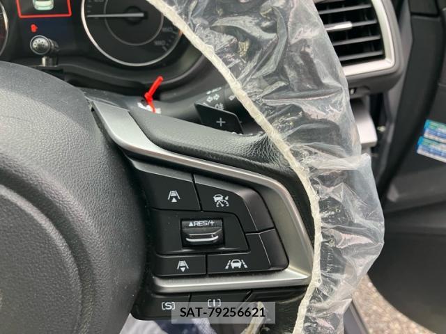 Subaru IMPREZA SPORTS 2017-09 8648487-14