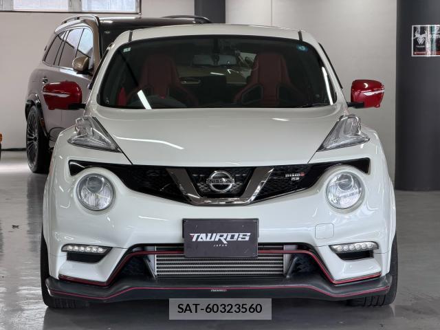 Nissan JUKE 2016-04 8647713-9