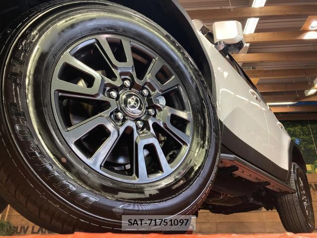 Toyota Land Cruiser 250 2025-03 8649872-12