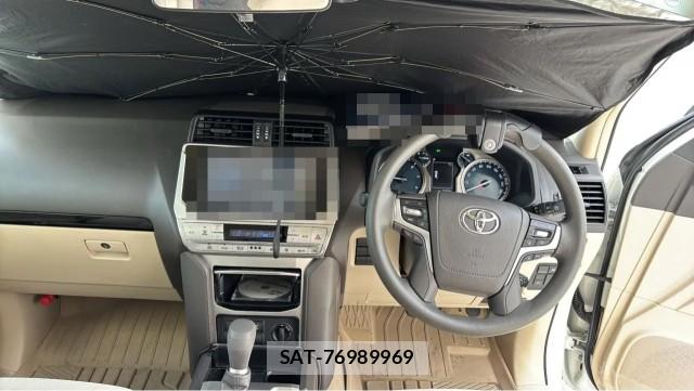 Toyota LAND CRUISER PRADO 2024-01 8651365-2