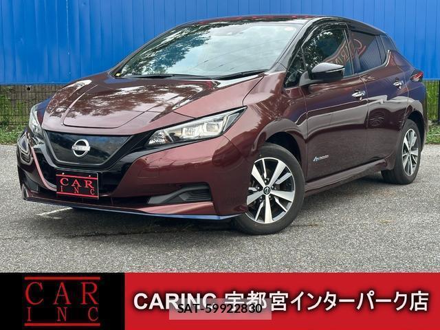 Nissan LEAF 2021-08 8649982-0