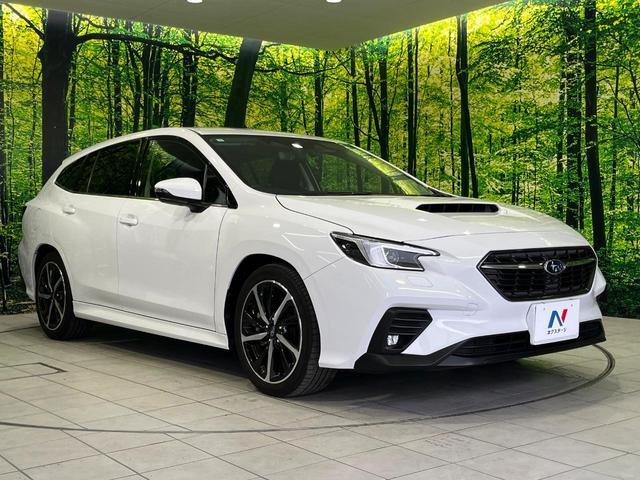 Subaru LEVORG 2023-07 8647646-15