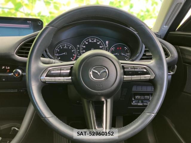 Mazda MAZDA3 2021-03 8653765-13