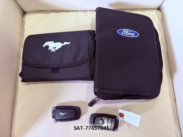 Ford MUSTANG 2020-03 8653899-14