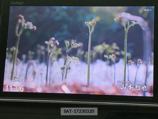 Honda N-WGN 2019-08 8652415-11