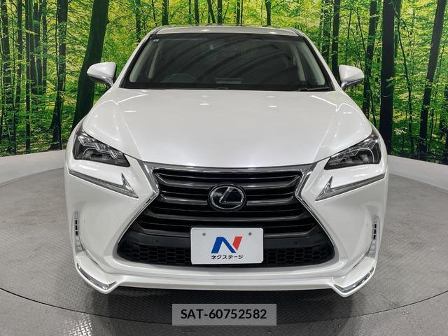 Lexus NX 2015-09 8646831-14
