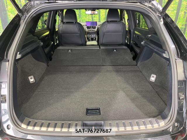 Lexus NX 2018-02 8647681-10