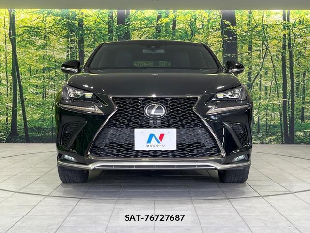 Lexus NX 2018-02 8647681-14