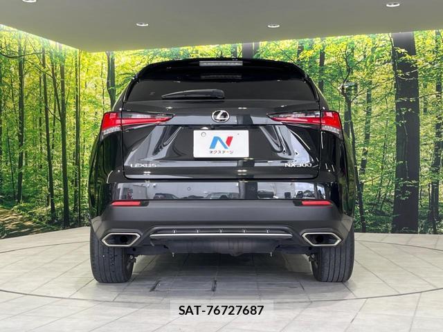 Lexus NX 2018-02 8647681-15