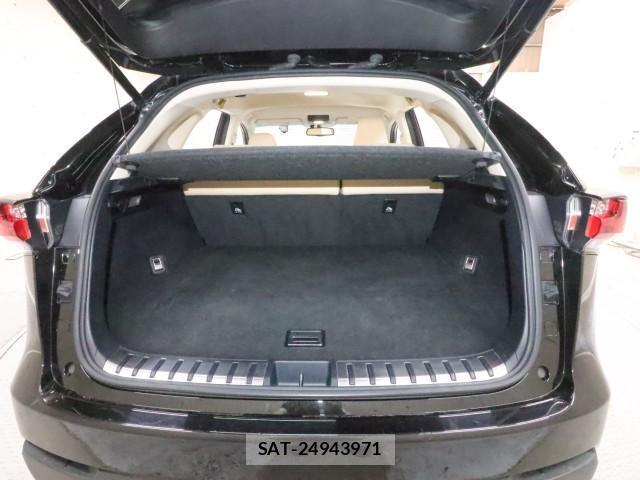 Lexus NX 2015-02 8647751-12