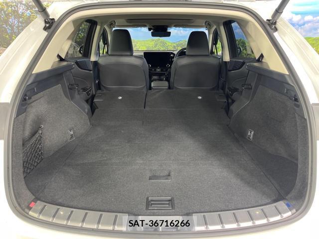 Lexus NX 2024-06 8647925-10