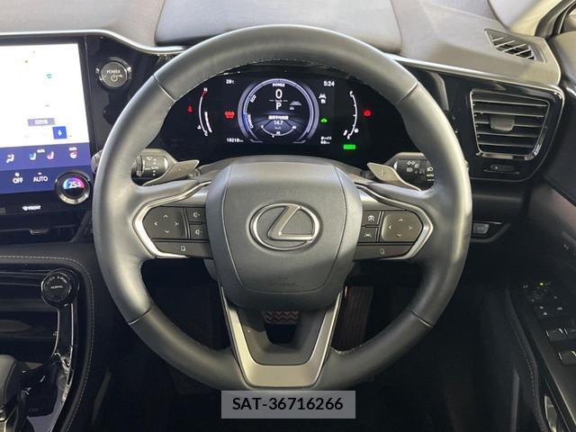 Lexus NX 2024-06 8647925-11