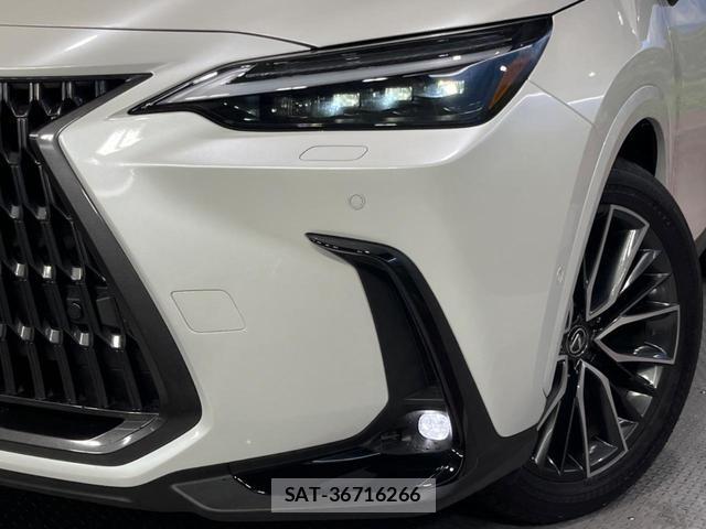 Lexus NX 2024-06 8647925-12