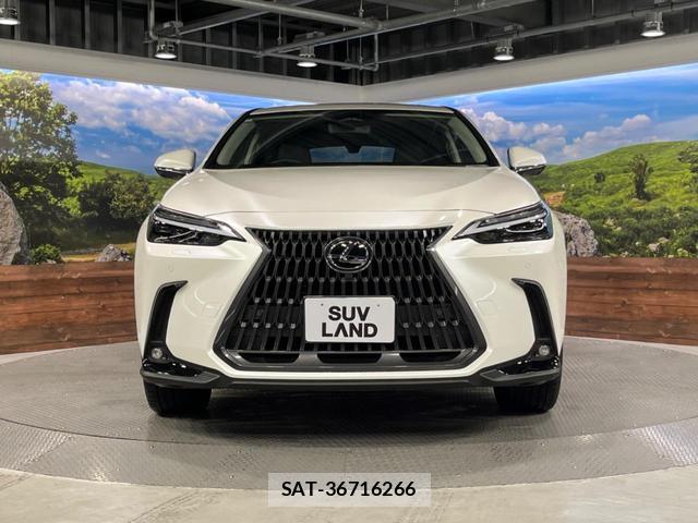 Lexus NX 2024-06 8647925-14