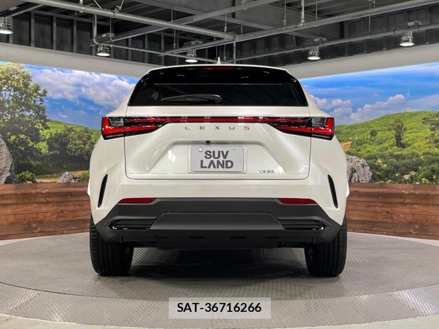 Lexus NX 2024-06 8647925-15