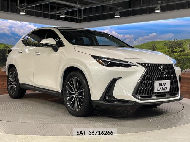 Lexus NX 2024-06 8647925-16