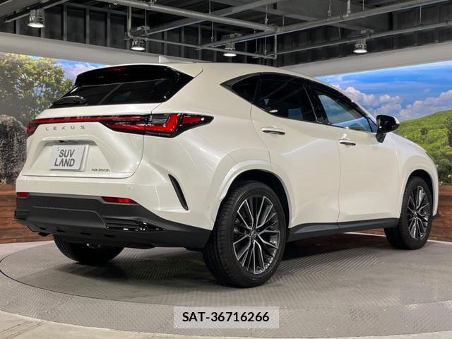 Lexus NX 2024-06 8647925-17