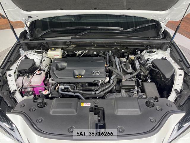 Lexus NX 2024-06 8647925-18