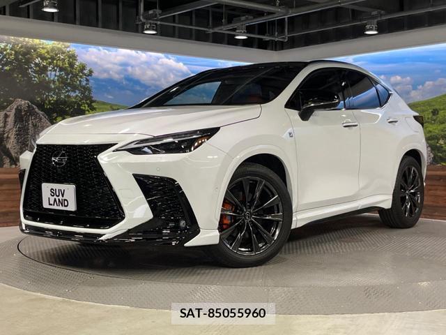 Lexus NX 2023-10 8647936-14