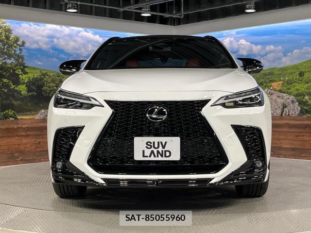 Lexus NX 2023-10 8647936-15