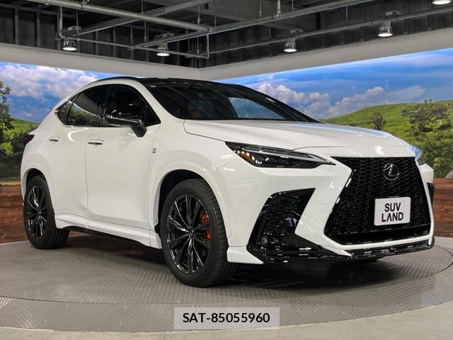 Lexus NX 2023-10 8647936-16