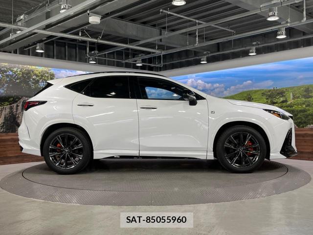 Lexus NX 2023-10 8647936-17