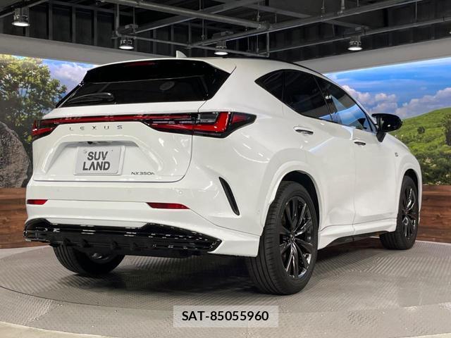 Lexus NX 2023-10 8647936-18