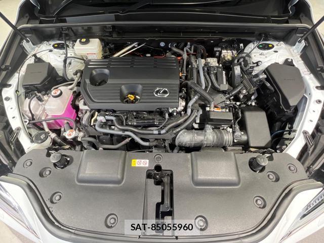 Lexus NX 2023-10 8647936-19