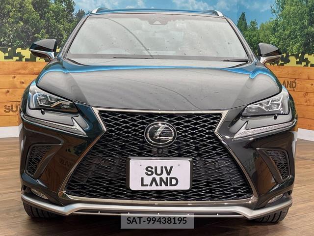Lexus NX 2017-11 8648419-14