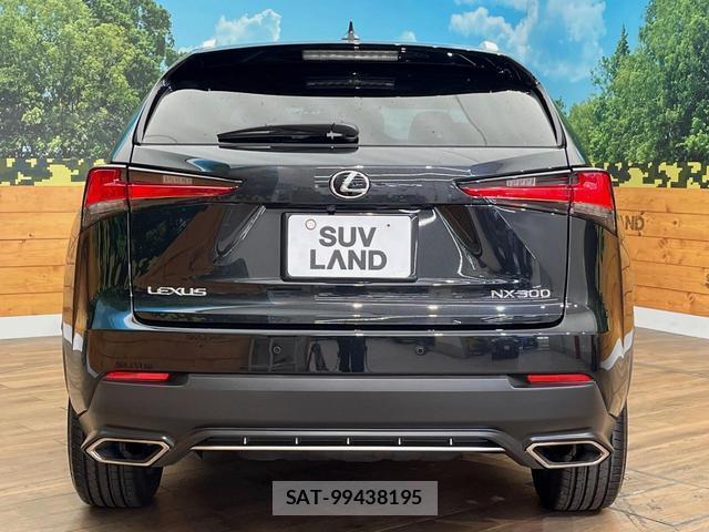 Lexus NX 2017-11 8648419-15