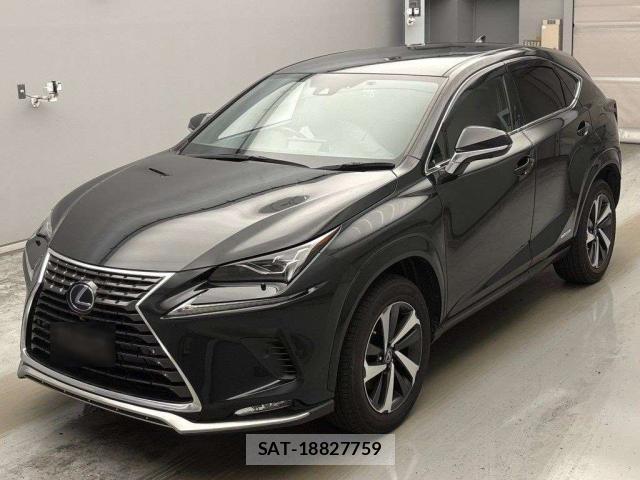 Lexus NX 2021-06 8649243-0