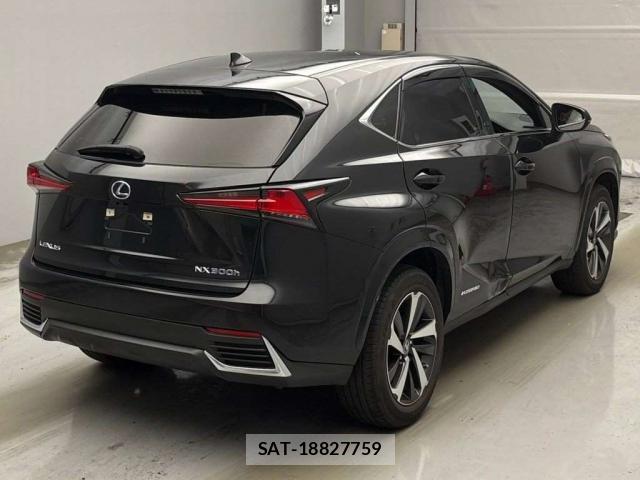 Lexus NX 2021-06 8649243-1
