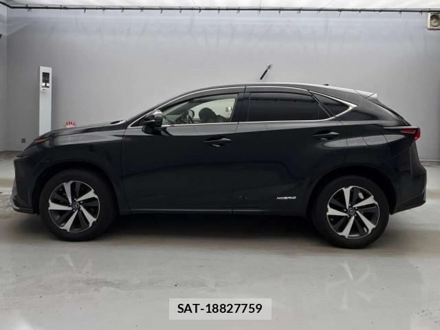 Lexus NX 2021-06 8649243-10