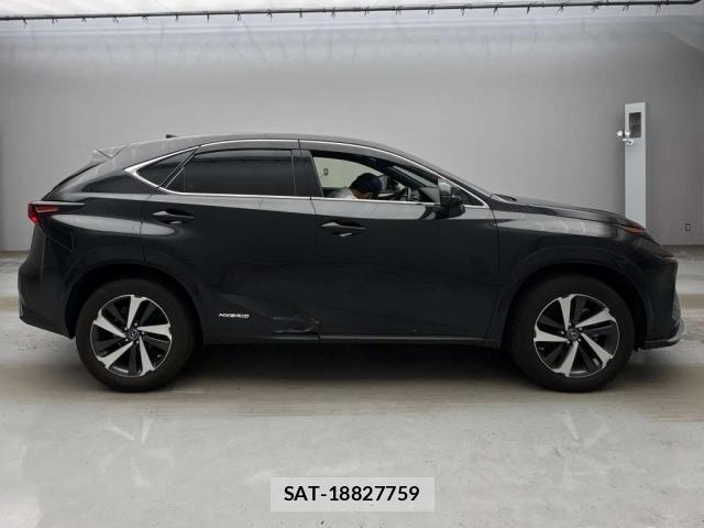 Lexus NX 2021-06 8649243-12
